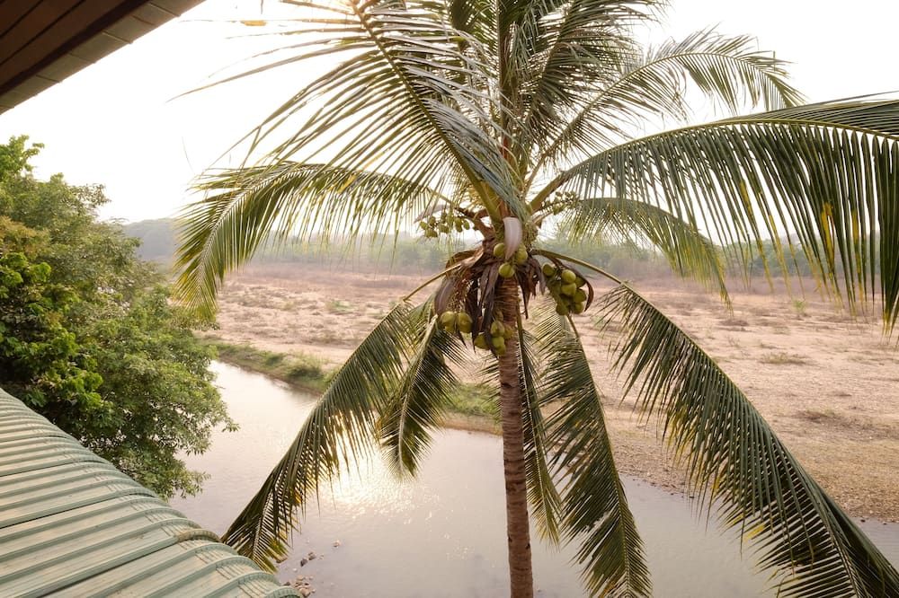 المظهر الخارجي