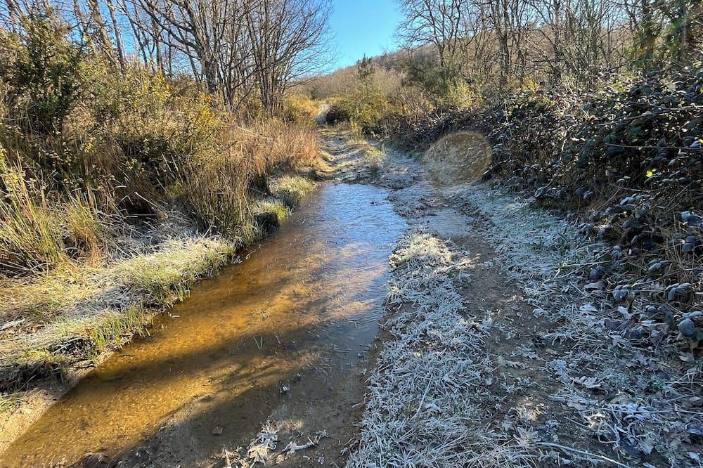 المظهر الخارجي