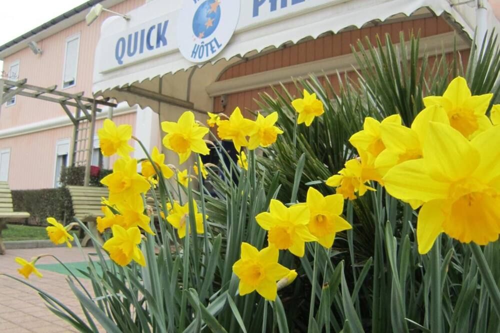 المظهر الخارجي