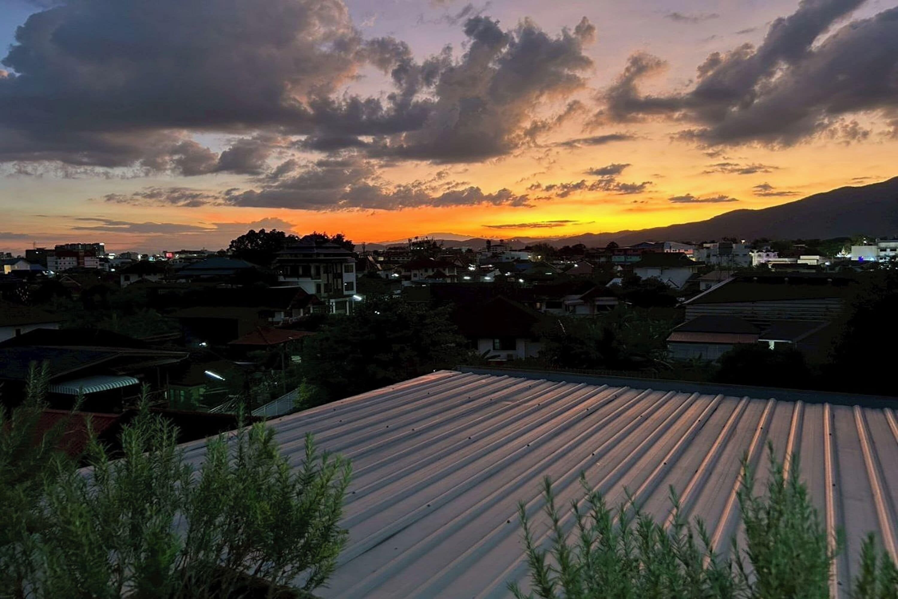 المظهر الخارجي