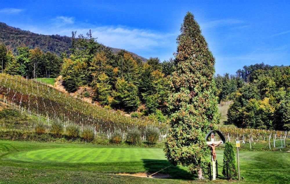 المظهر الخارجي