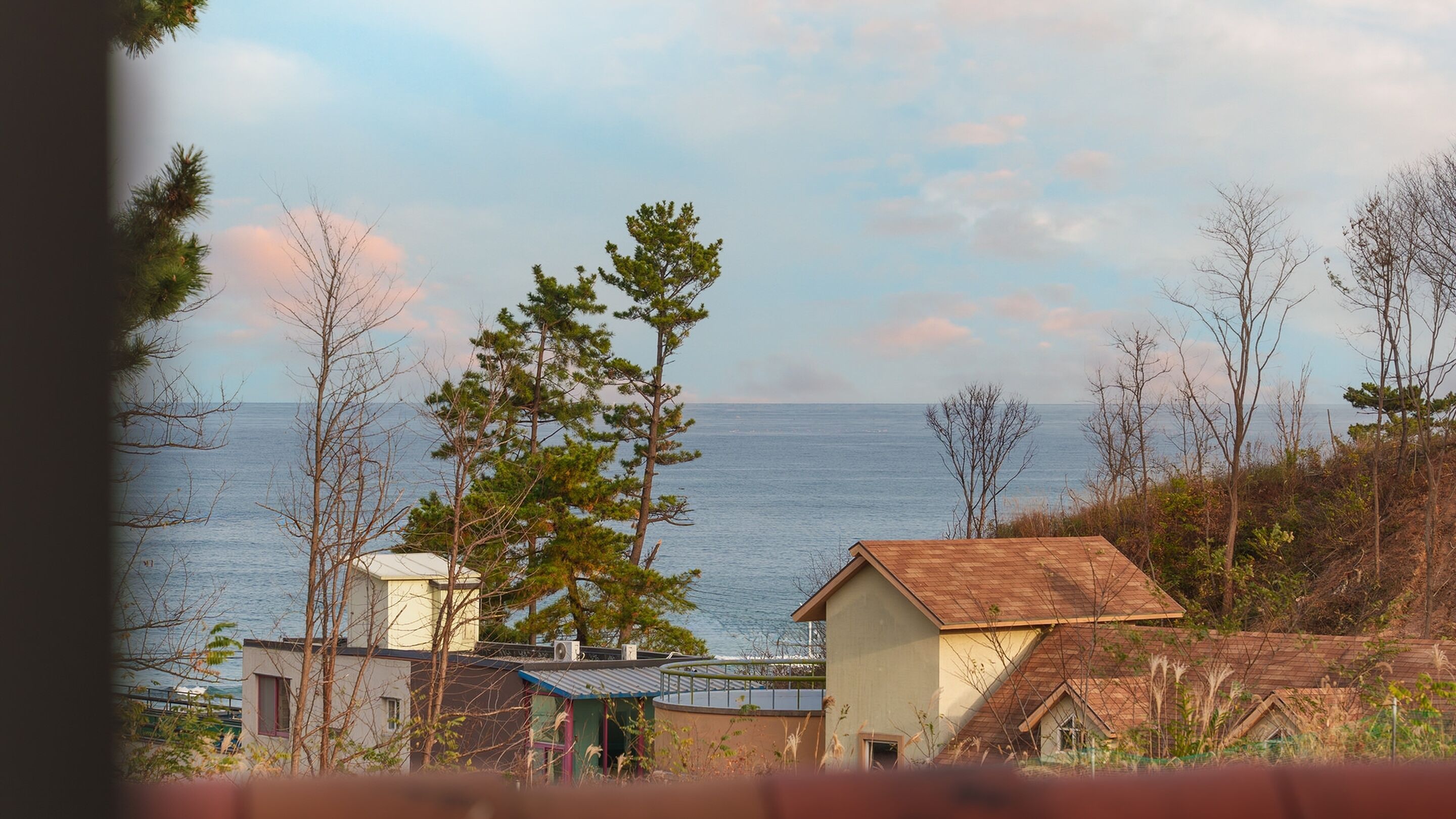 المظهر الخارجي