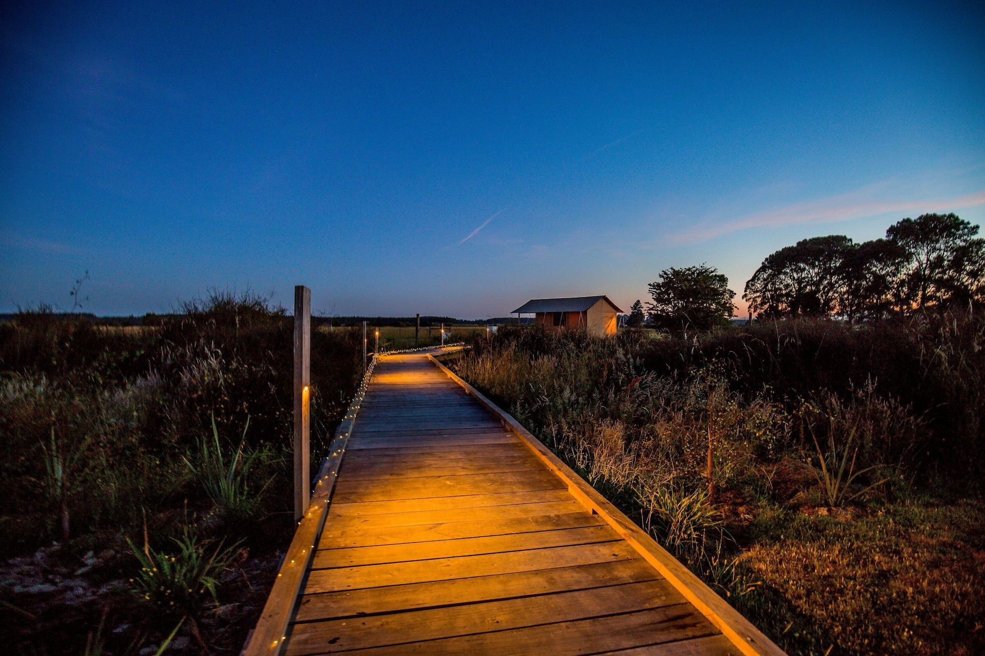 المظهر الخارجي