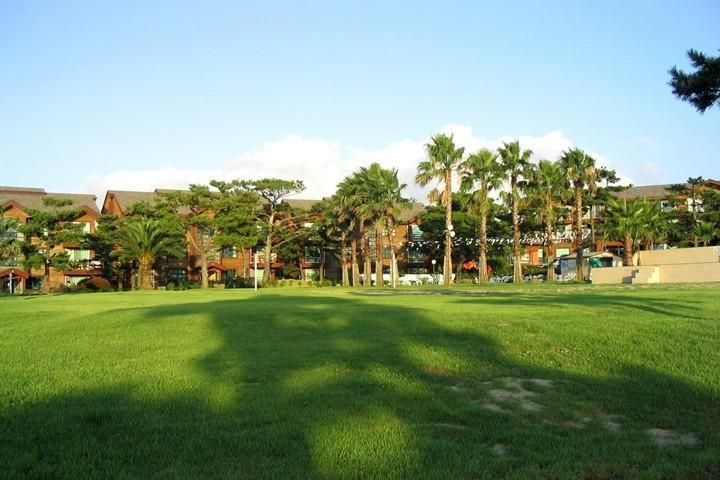 المظهر الخارجي