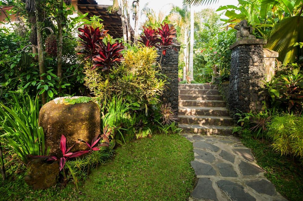 المظهر الخارجي