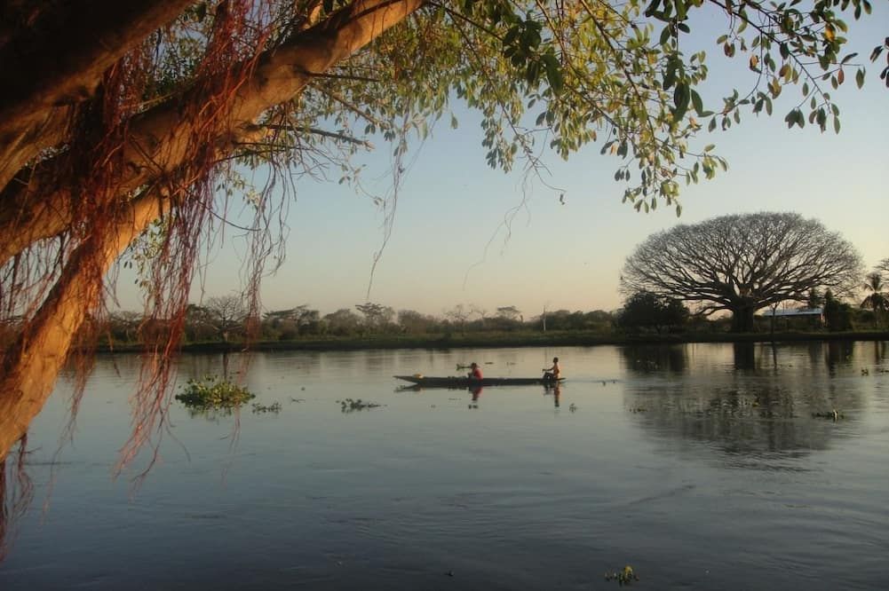 المظهر الخارجي