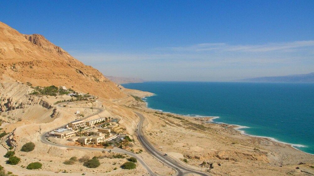 شاطئ