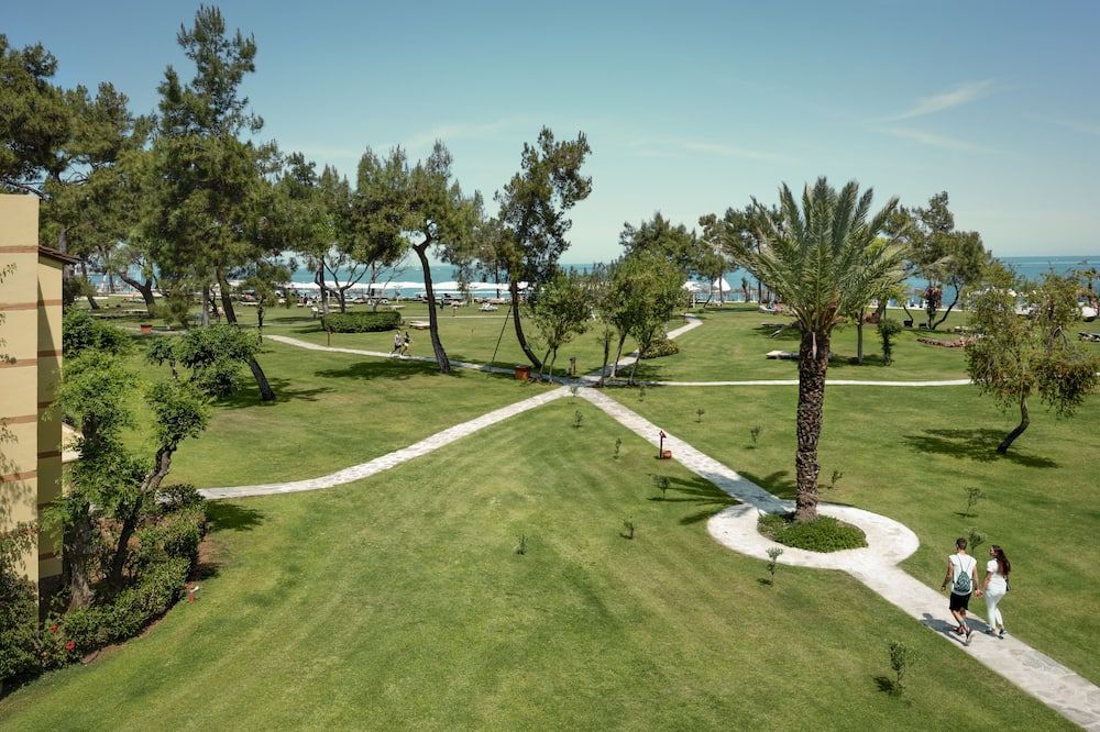 المظهر الخارجي