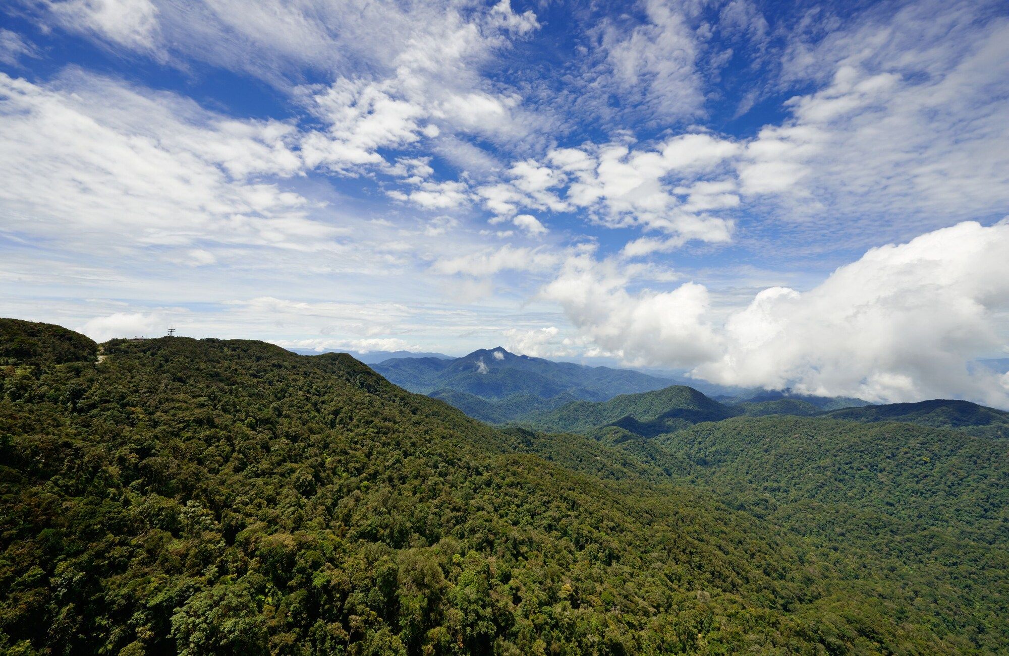 المظهر الخارجي
