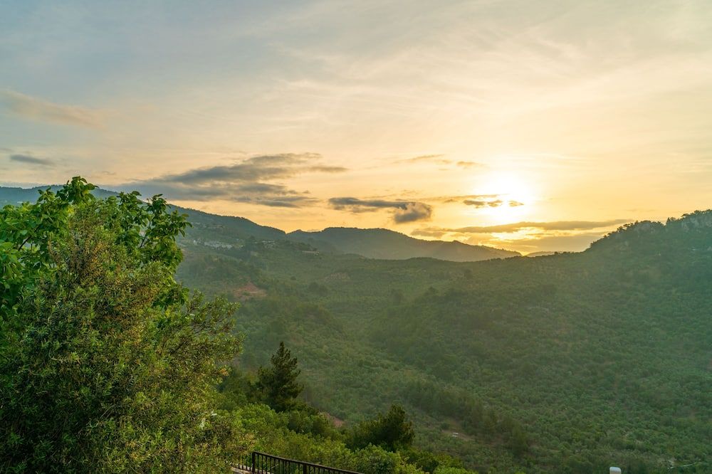المظهر الخارجي