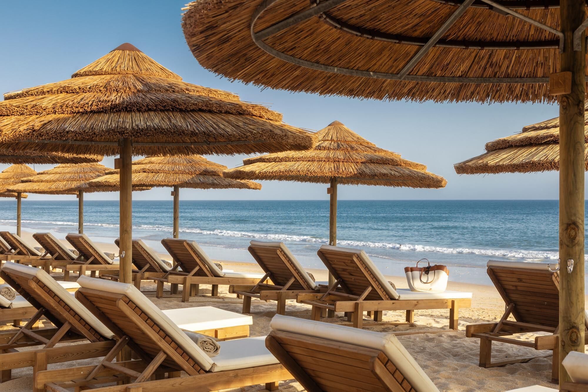 شاطئ صورة