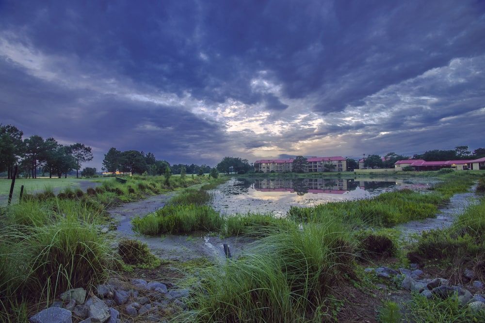 المظهر الخارجي