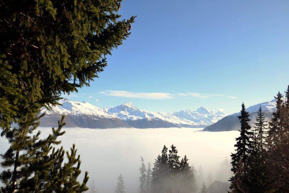 المظهر الخارجي