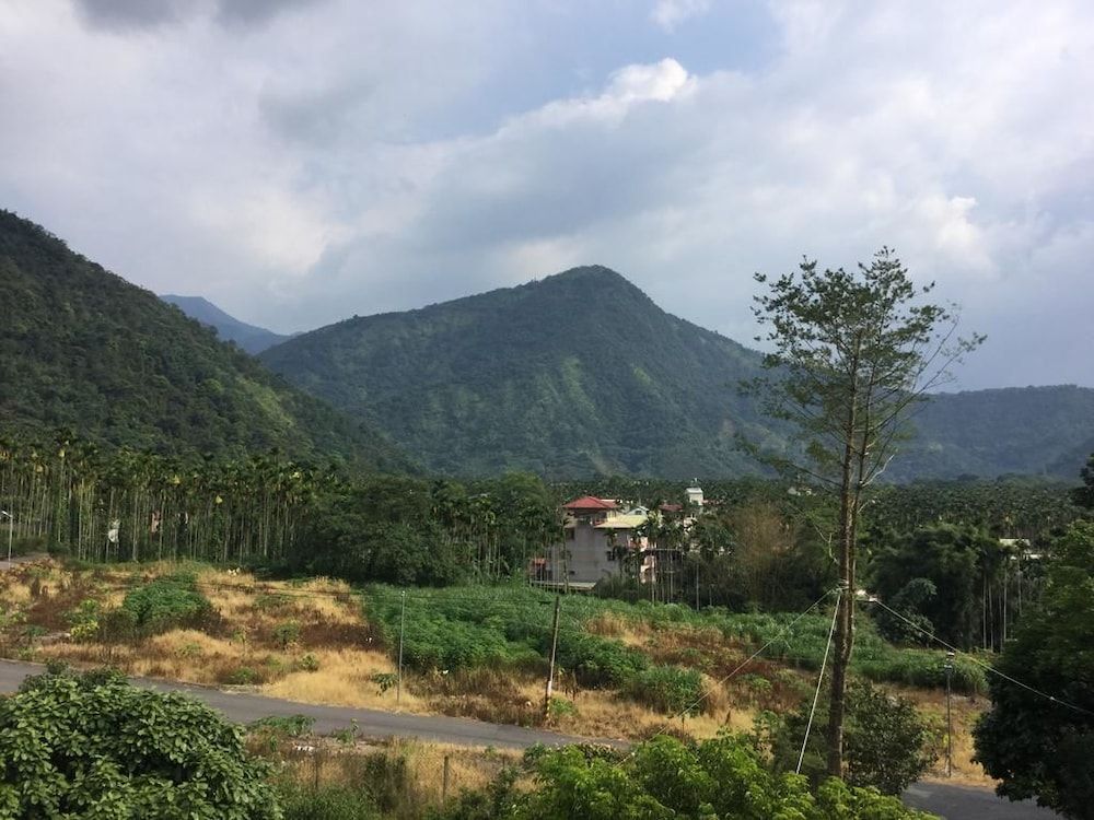 المظهر الخارجي