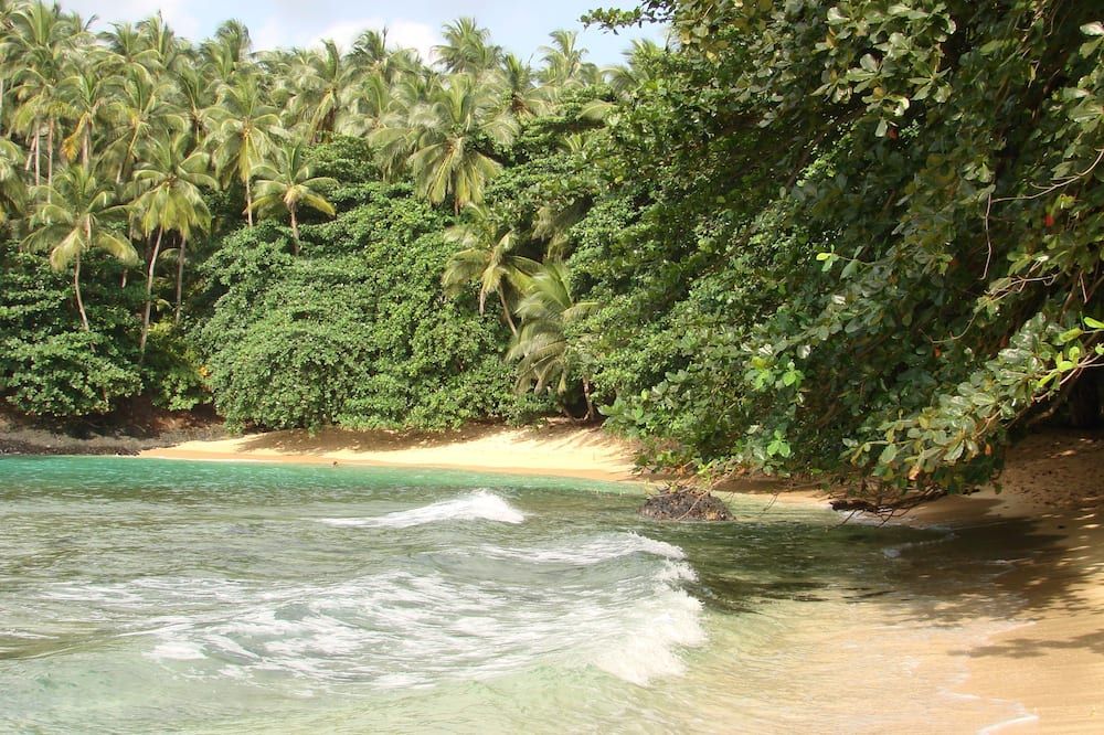 المظهر الخارجي