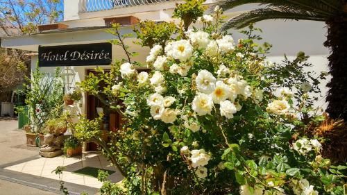 المظهر الخارجي