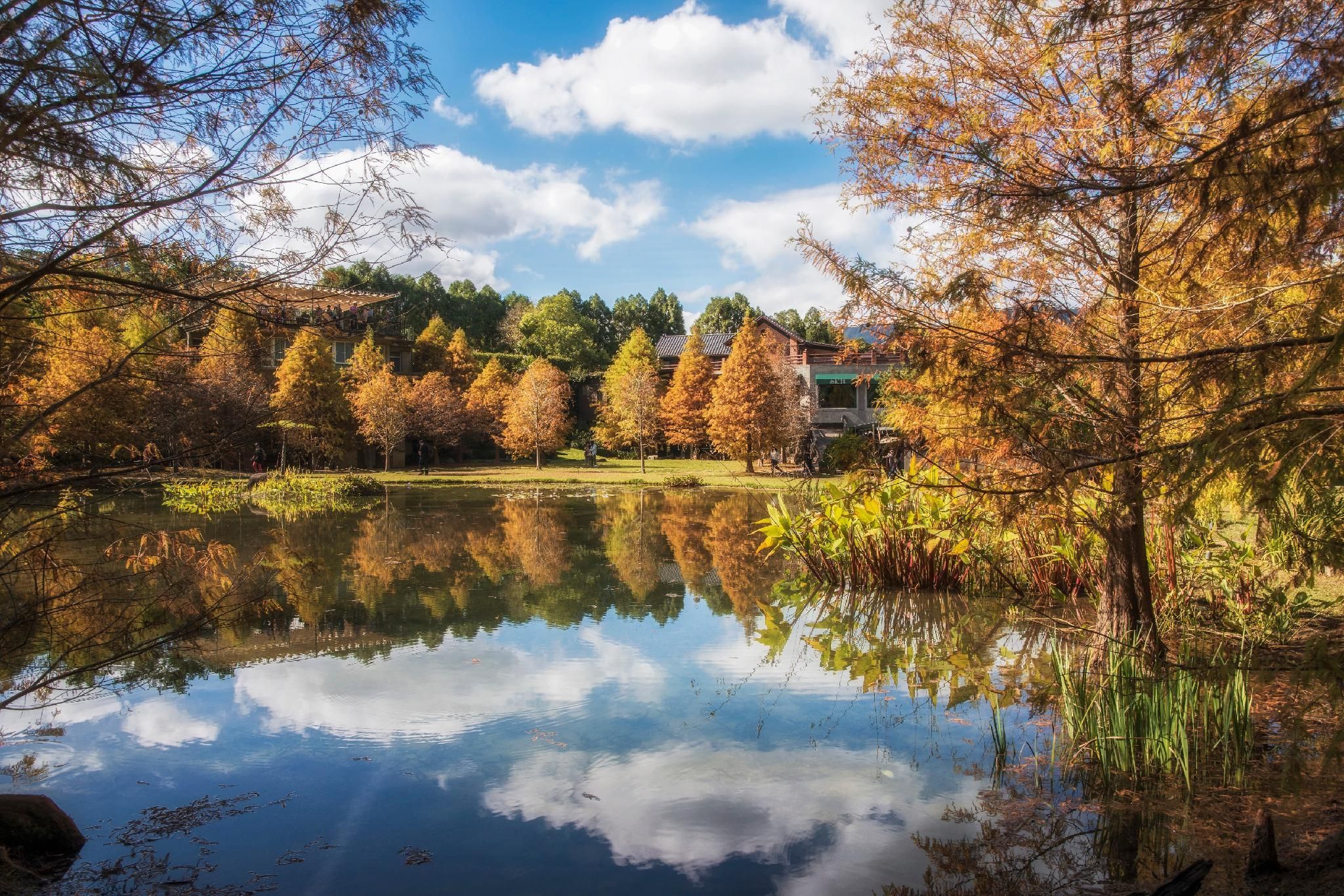 المظهر الخارجي