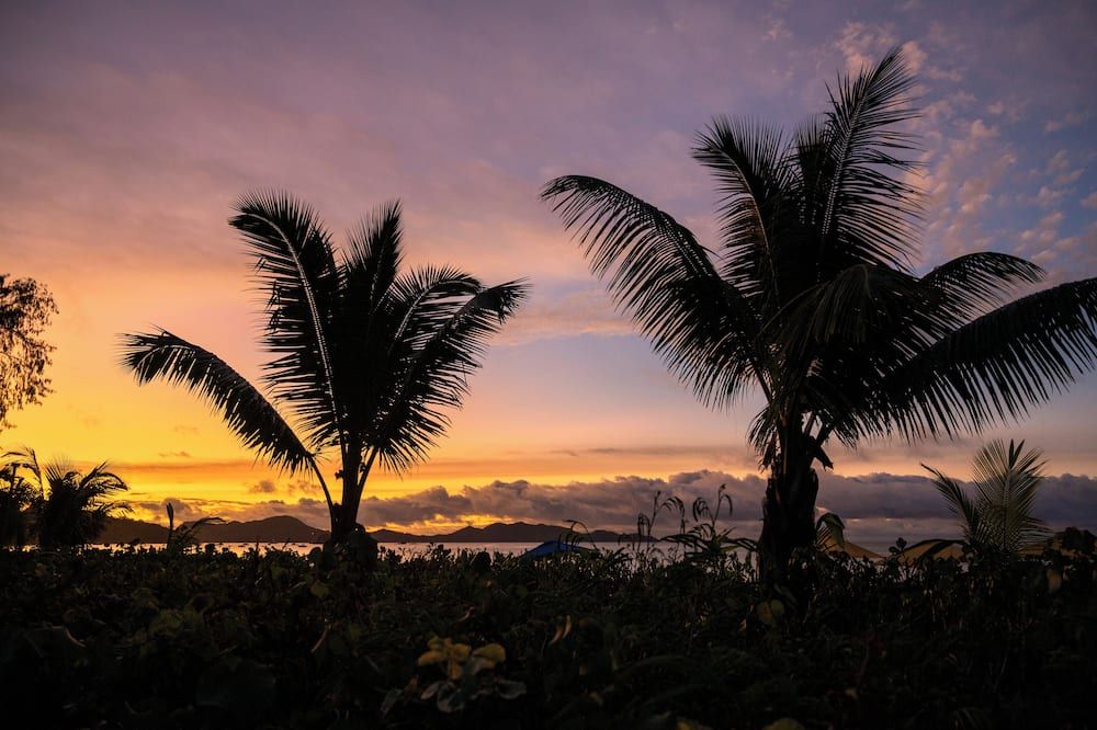 المظهر الخارجي