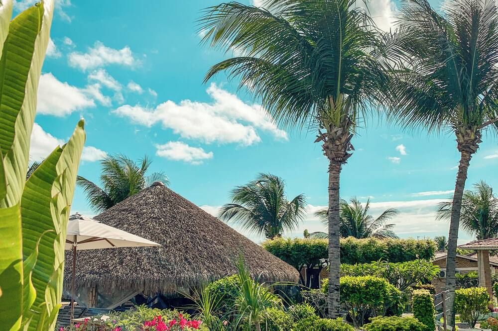 المظهر الخارجي