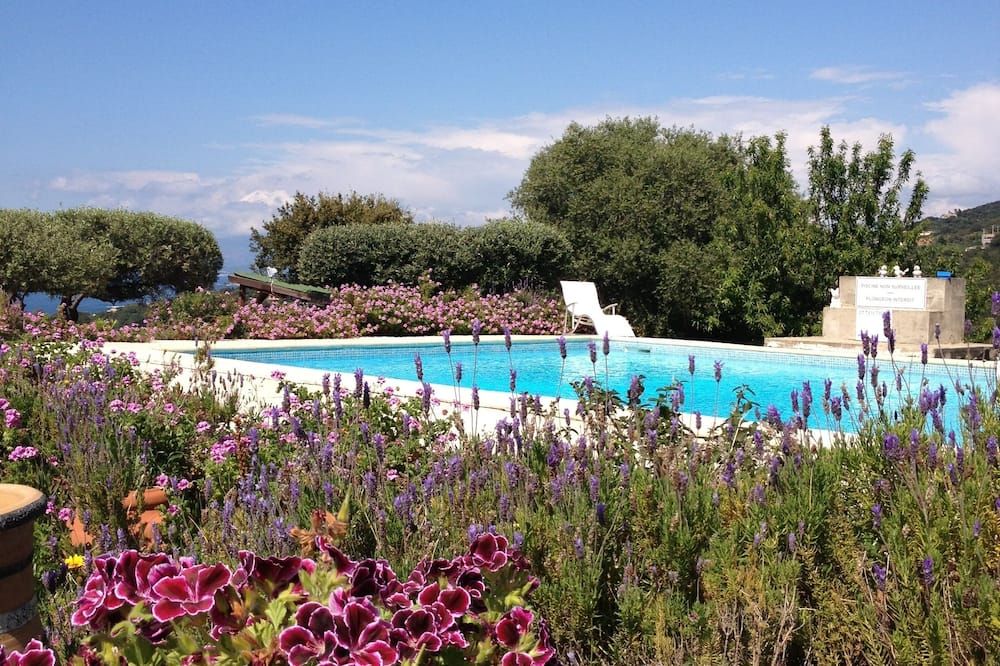 حوض السباحة