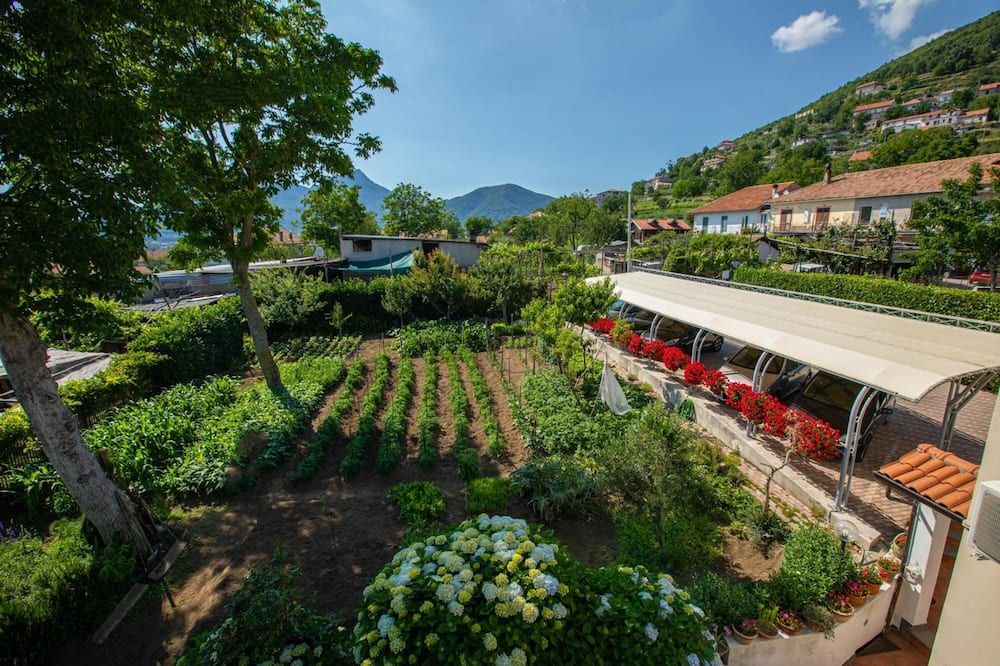 المظهر الخارجي