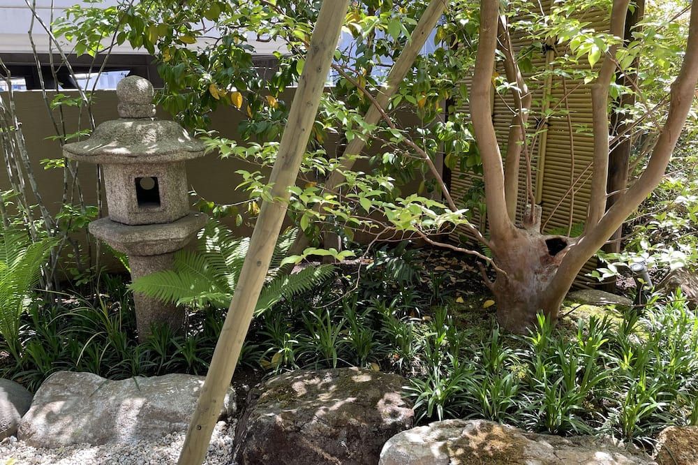 المظهر الخارجي