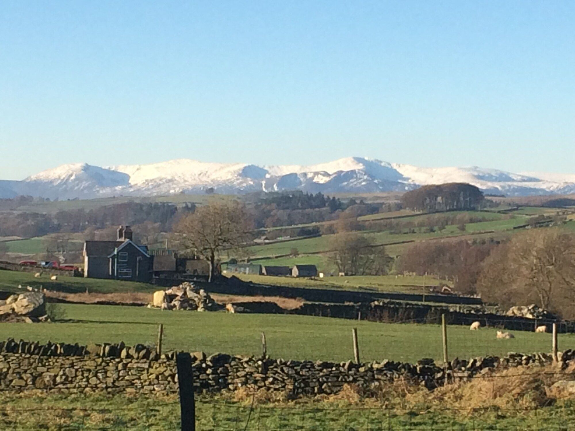 المظهر الخارجي