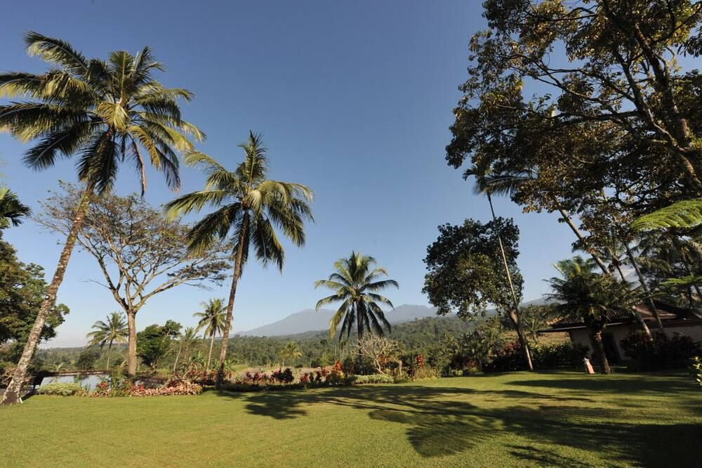 المظهر الخارجي