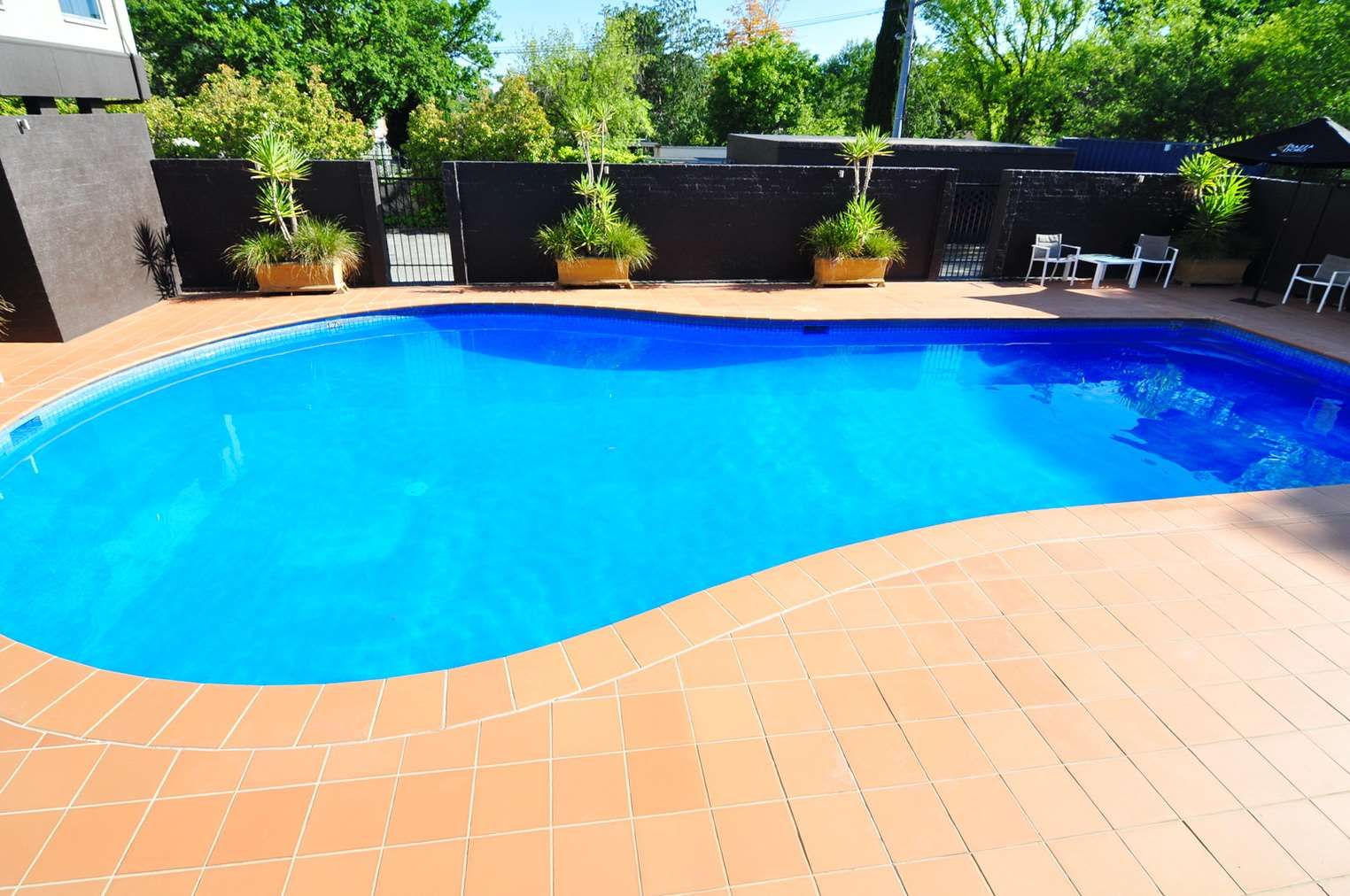 حوض السباحة