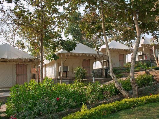 المظهر الخارجي