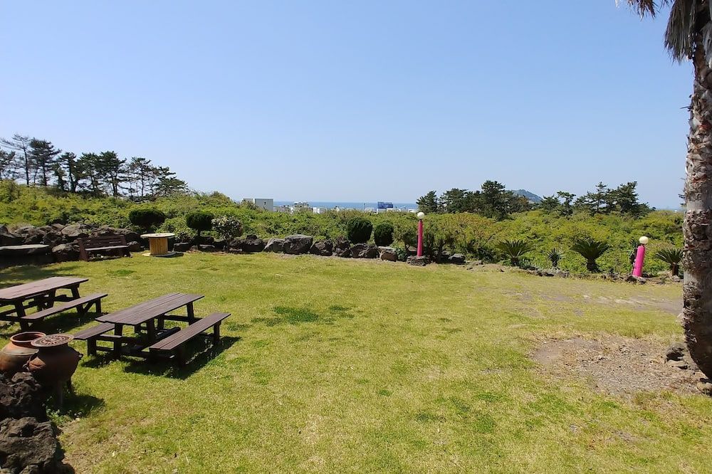 المظهر الخارجي