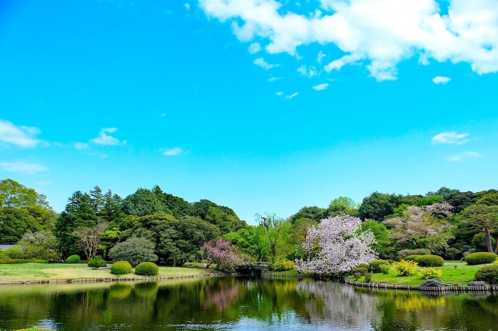 المظهر الخارجي