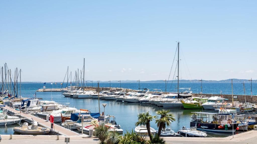 المظهر الخارجي