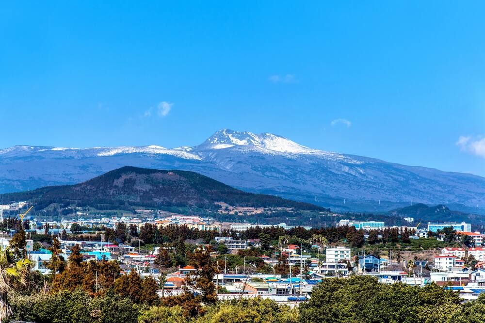 المظهر الخارجي