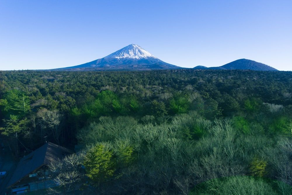 المظهر الخارجي