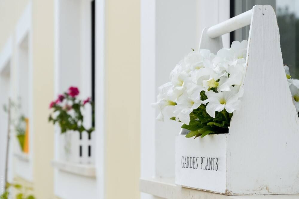 وسائل راحة في الغرف