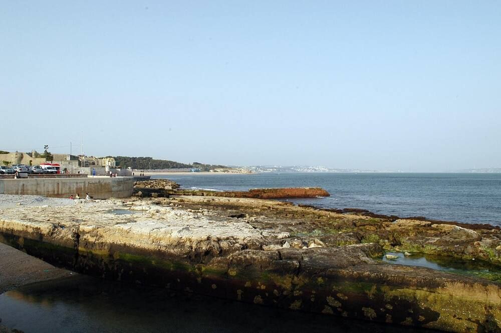 المظهر الخارجي