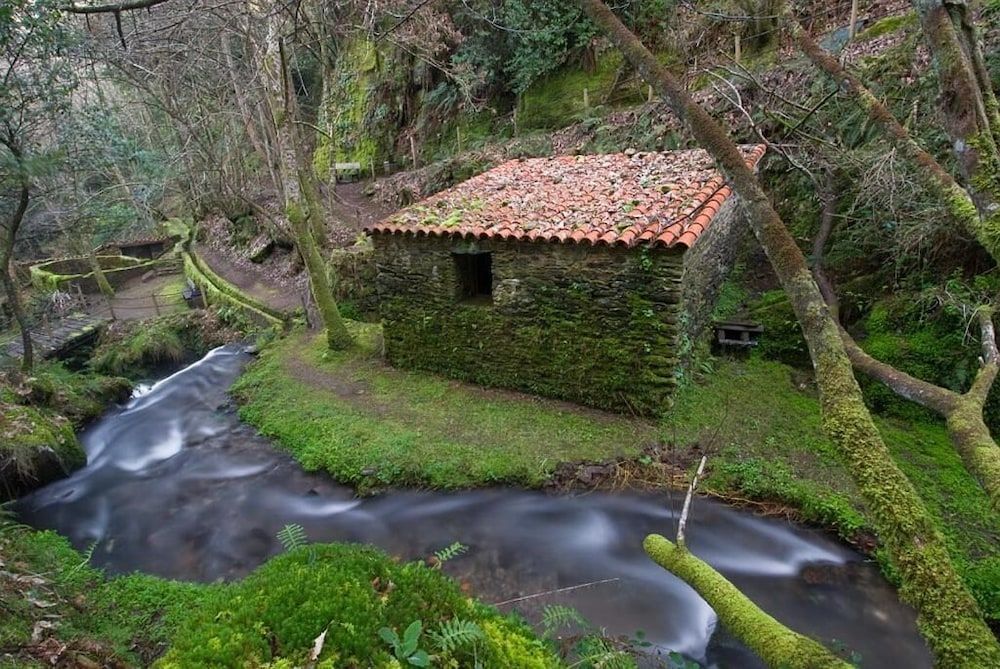 المظهر الخارجي