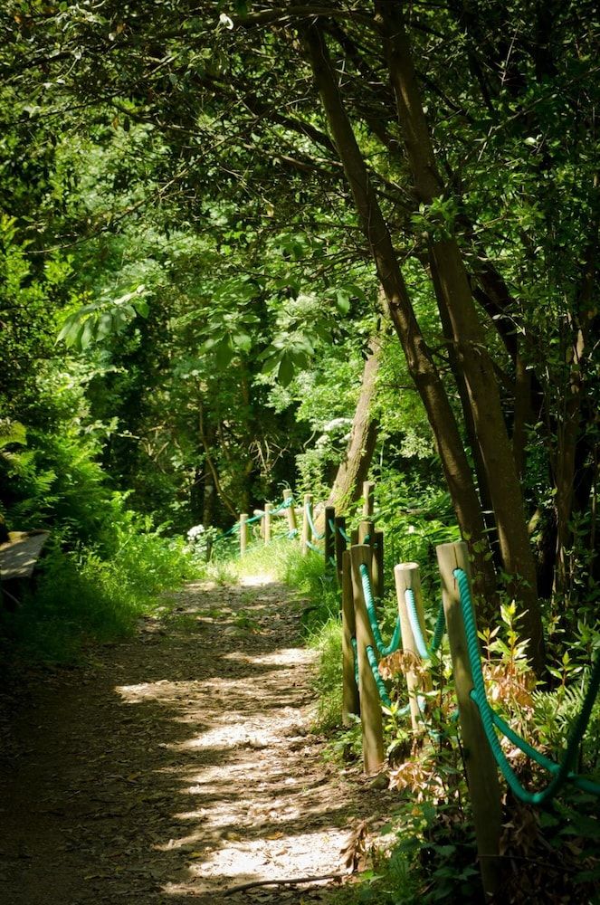 المظهر الخارجي