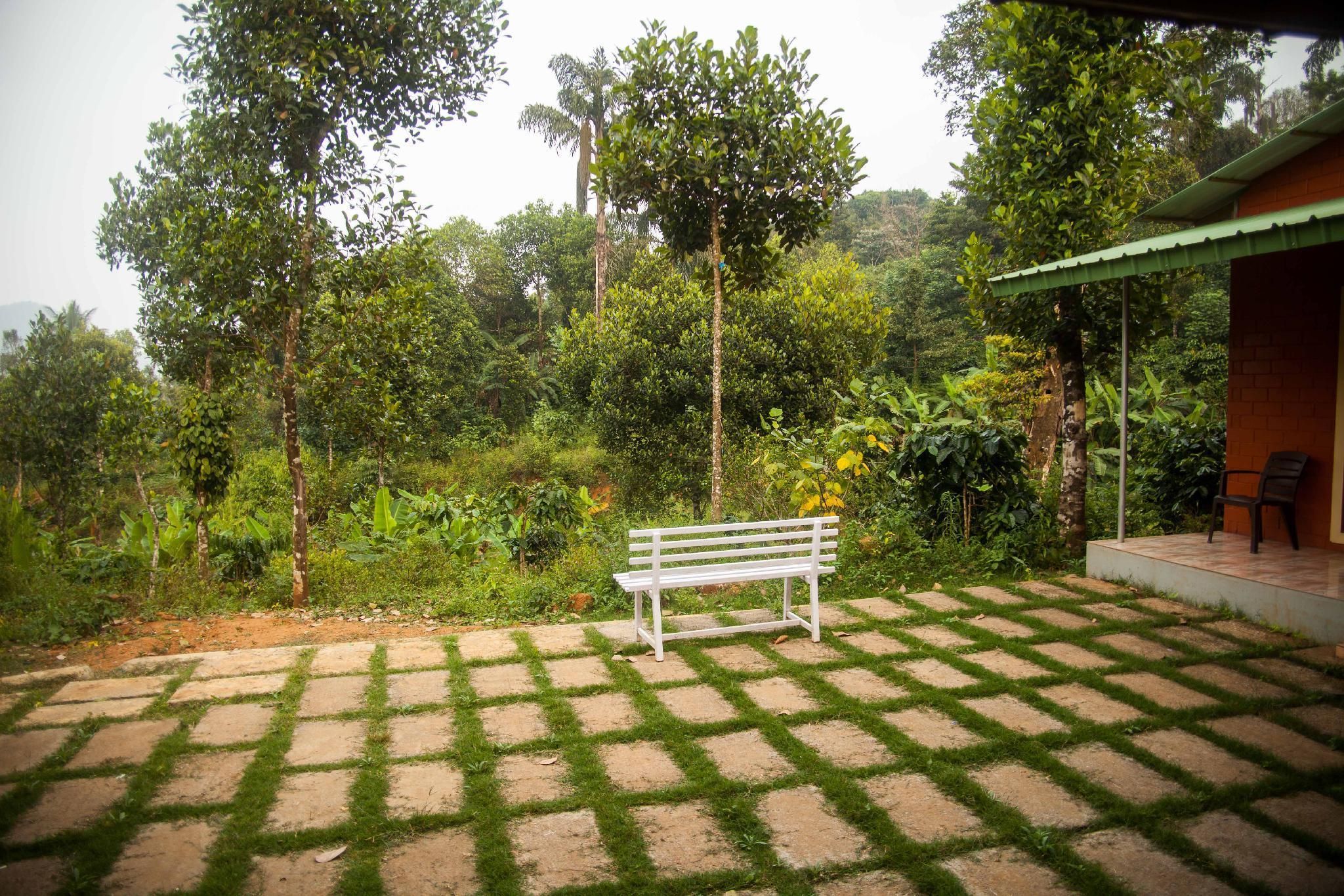 المظهر الخارجي