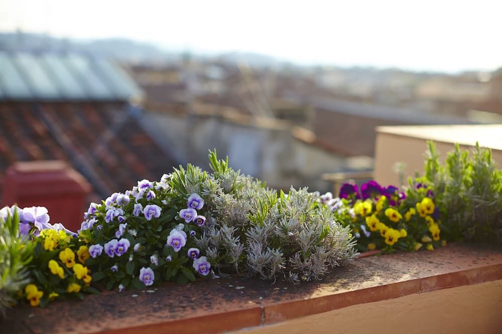 المظهر الخارجي