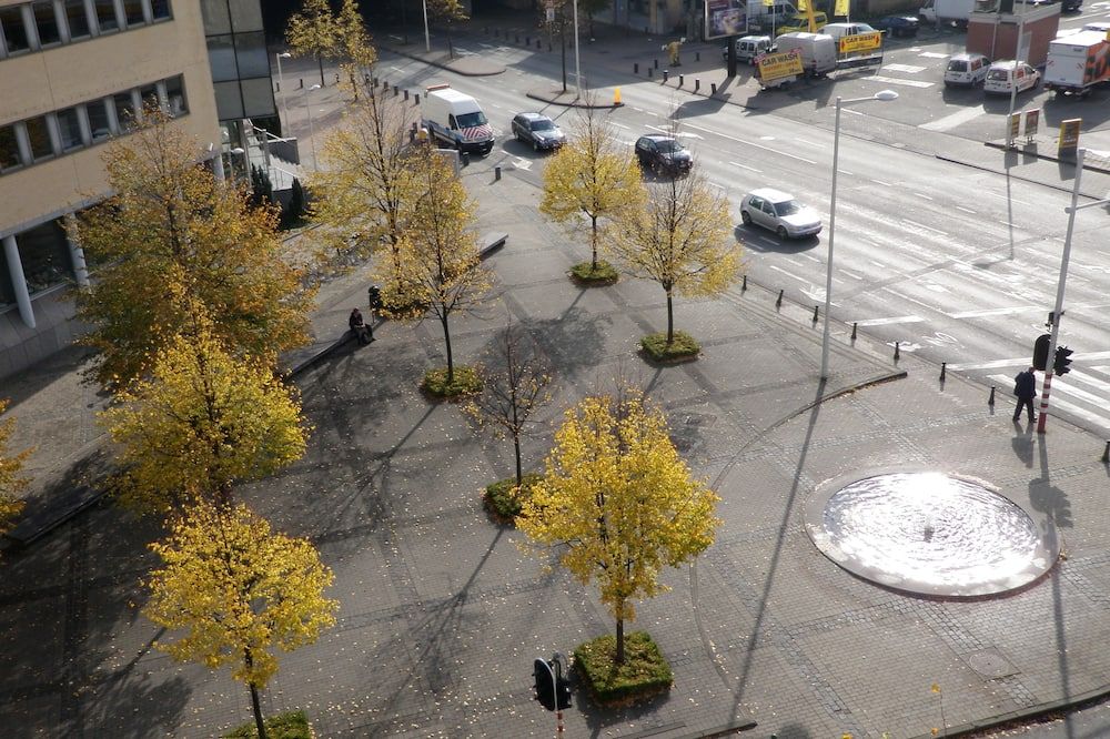 المظهر الخارجي