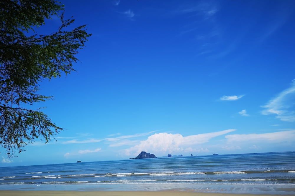 شاطئ صورة