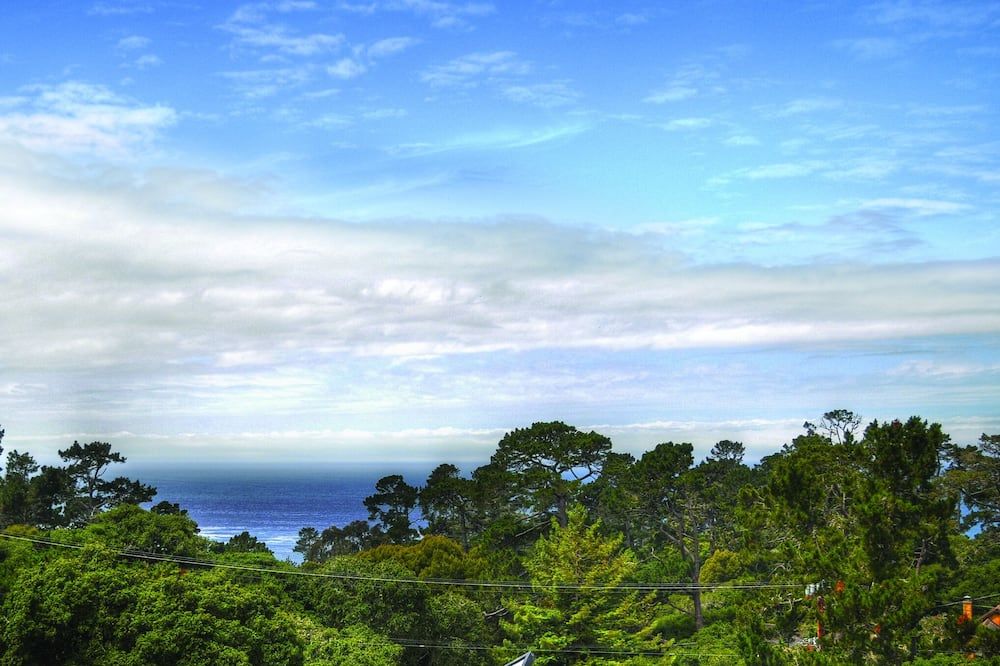 المظهر الخارجي