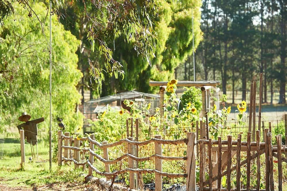 المظهر الخارجي