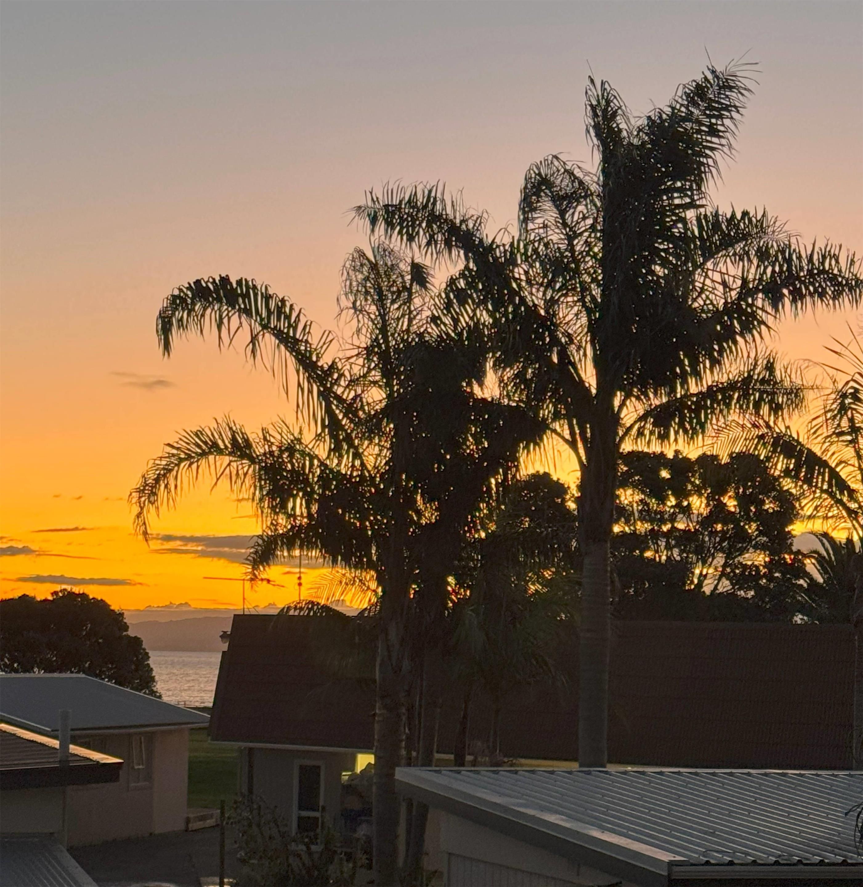 المظهر الخارجي