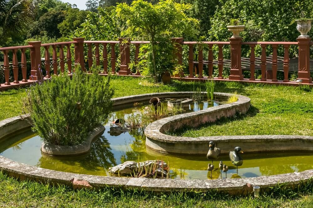 المظهر الخارجي