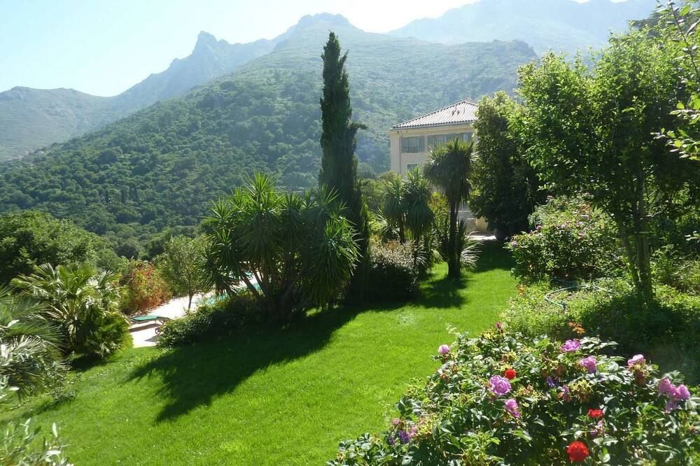 المظهر الخارجي