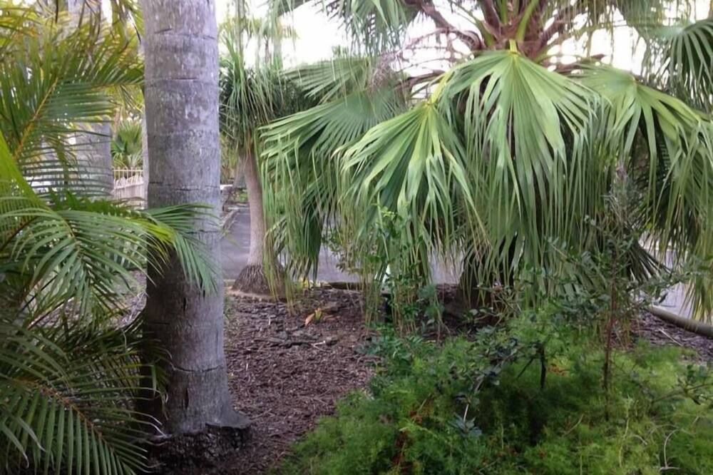 المظهر الخارجي