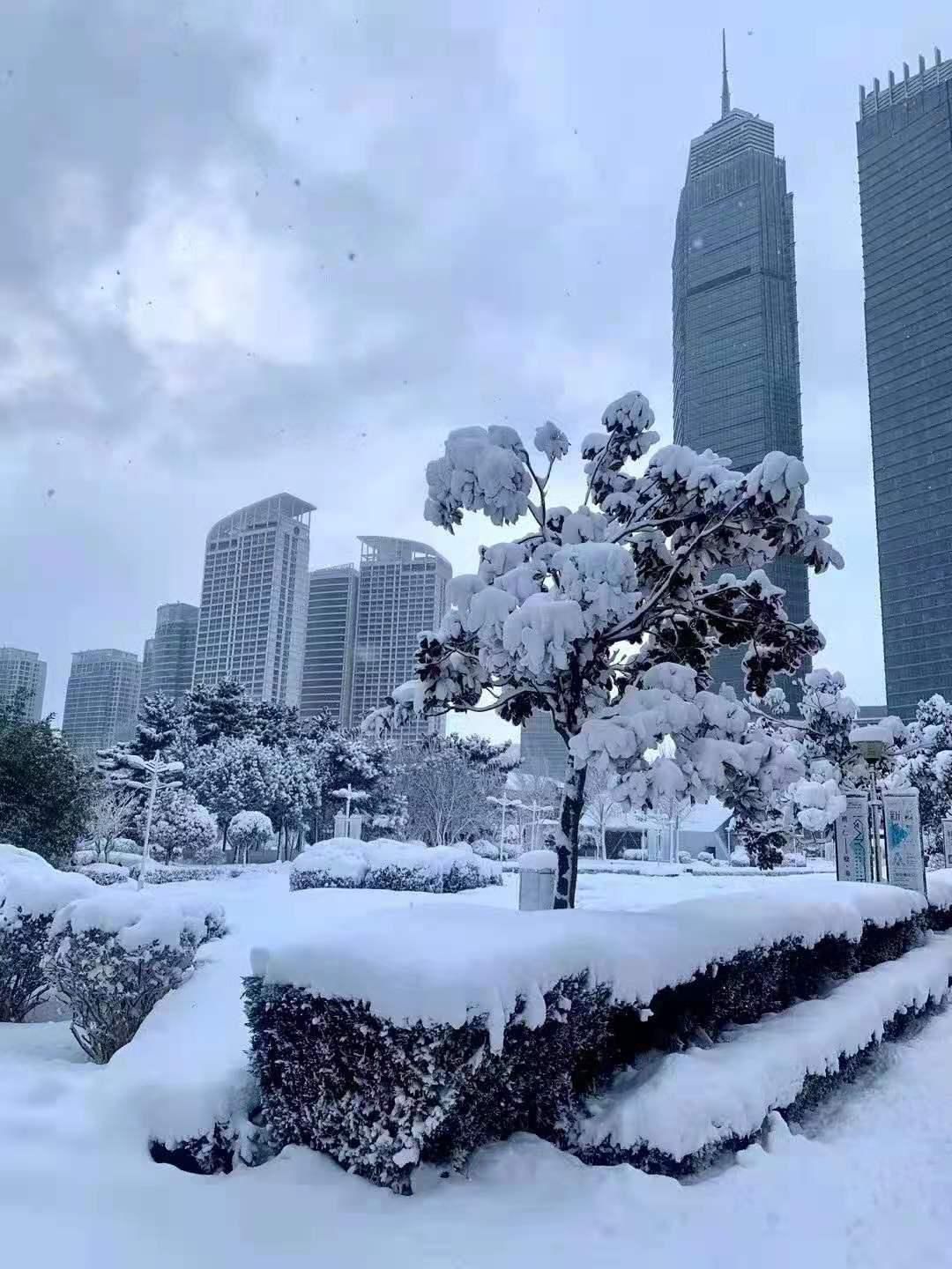 المظهر الخارجي